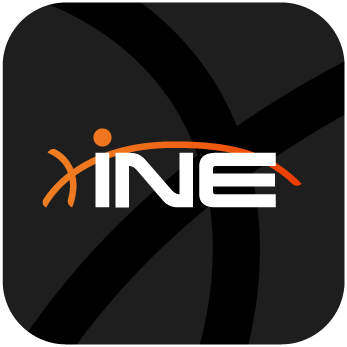 INE logo